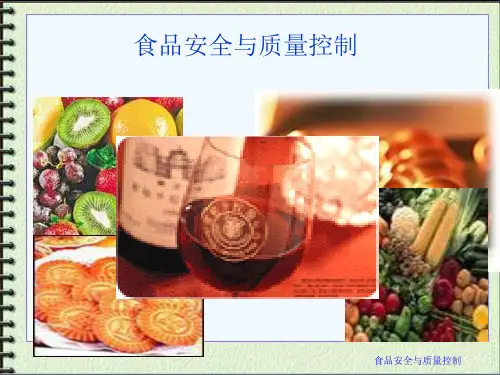 食品安全与质量控制.ppt