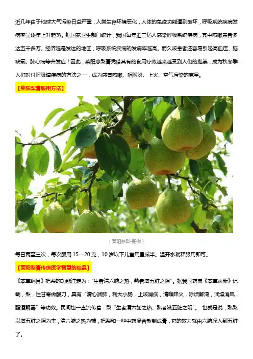 每天冲饮一杯莱阳慈梨膏_止咳润肺祛火没烦恼