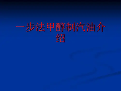 一步法MTG工艺介绍
