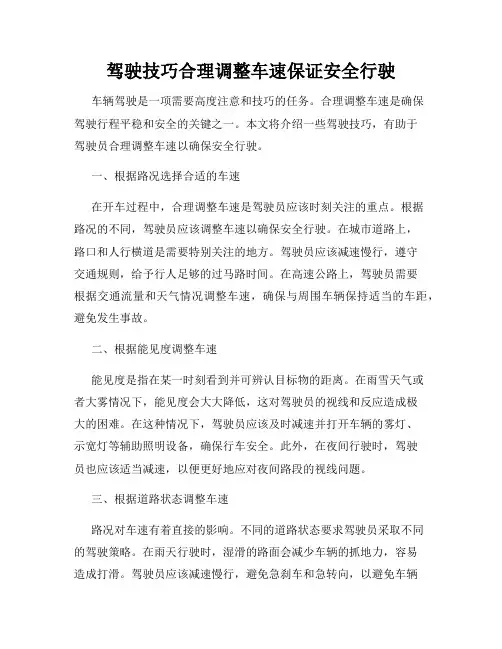 驾驶技巧合理调整车速保证安全行驶