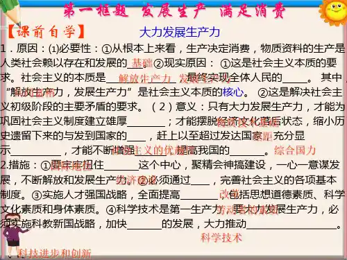 高中部高中政治 第四课 第一框(二)大力发展生产力课件 新人教版必修1