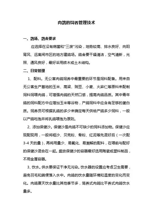 肉鸽饲养管理技术