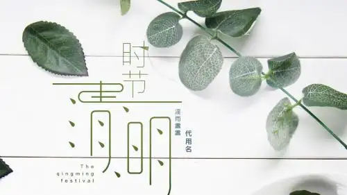 小清新清明节节气主题ppt模板