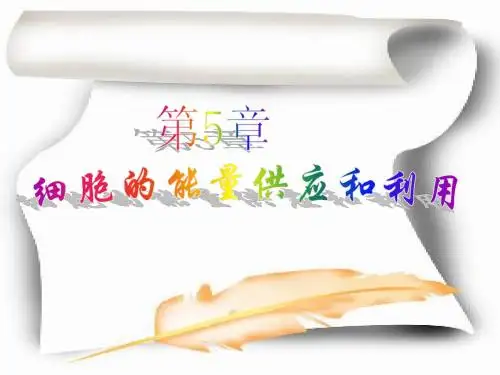 第1节__降低化学反应活化能的酶