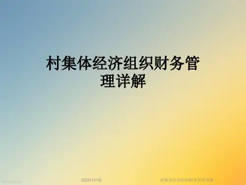 村集体经济组织财务管理详解