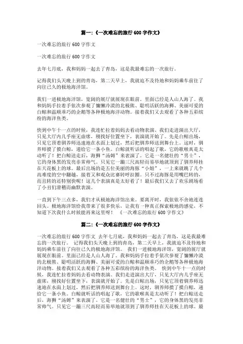 我的一次旅行作文600字