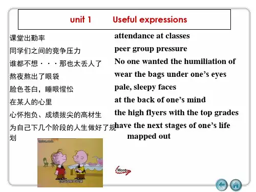 新标准大学英语第三册重要短语 共18页