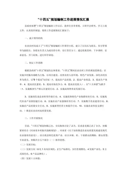 “十四五”规划编制工作进展情况汇报