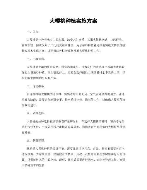 大樱桃种植实施方案