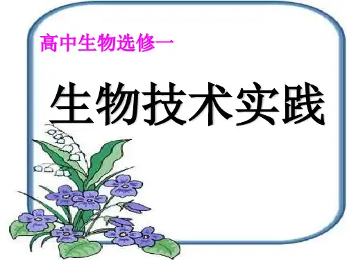 (完整)果酒和果醋的制作精品PPT资料精品PPT资料