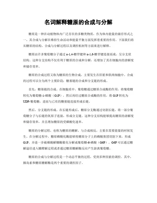 名词解释糖原的合成与分解