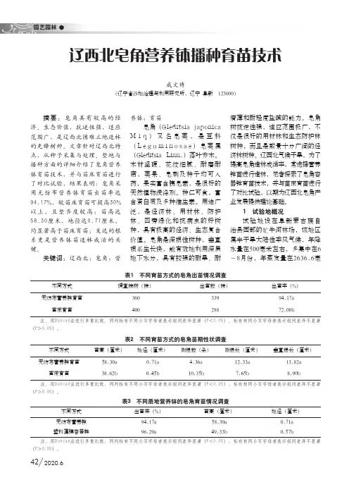 辽西北皂角营养钵播种育苗技术