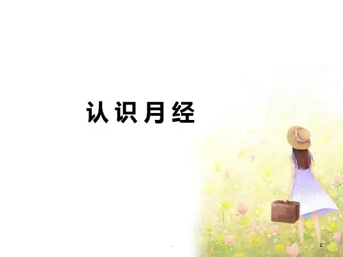 认识月经PPT课件