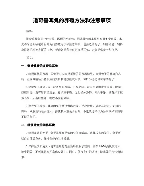 道奇垂耳兔的养殖方法和注意事项