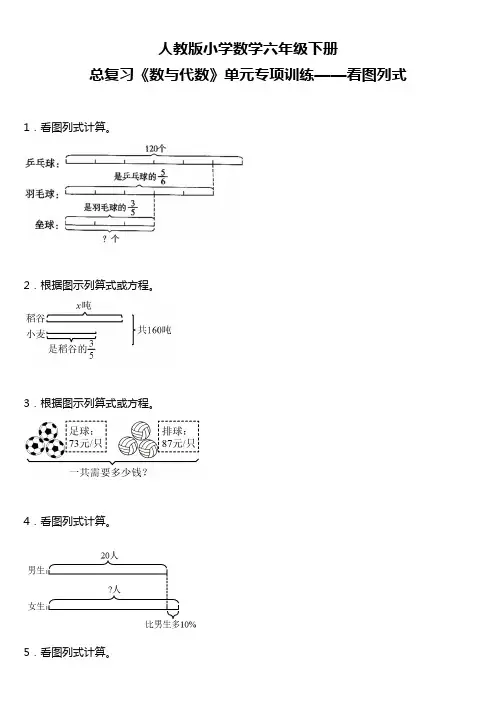 总复习《数与代数》 看图列式 (专项训练)小学数学六年级下册 人教版