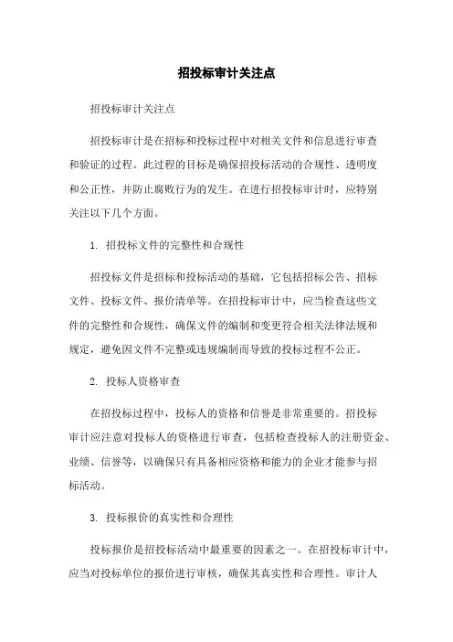 招投标审计关注点