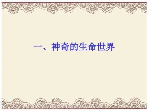 初中政治  神奇的生命世界 人民版  优秀公开课件