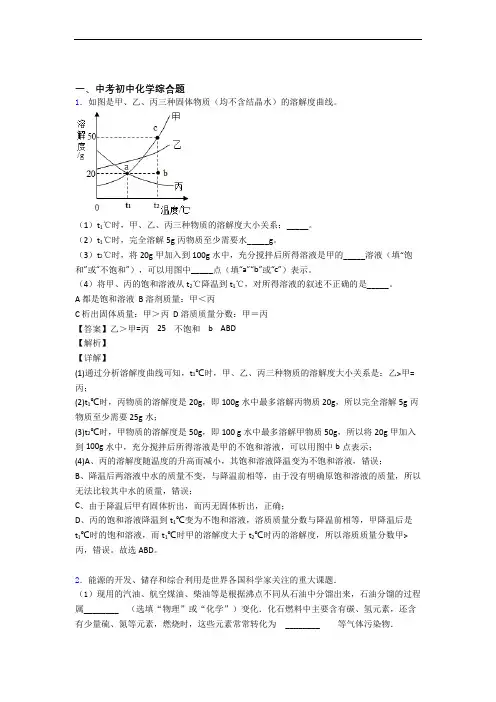 2020-2021培优综合题辅导专题训练含详细答案