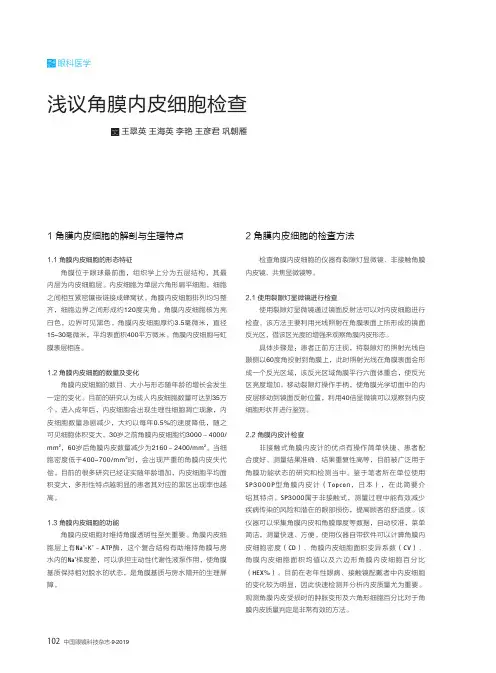 浅议角膜内皮细胞检查