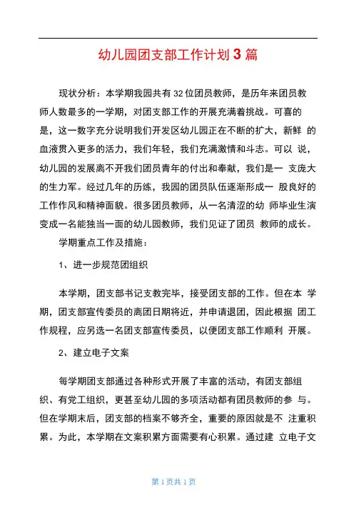 幼儿园团支部工作计划3篇