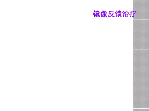镜像反馈治疗
