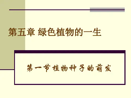 第五章绿色植物的一生