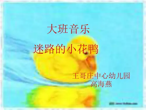 小花鸭.ppt1