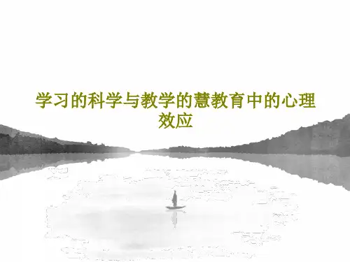 学习的科学与教学的慧教育中的心理效应16页PPT