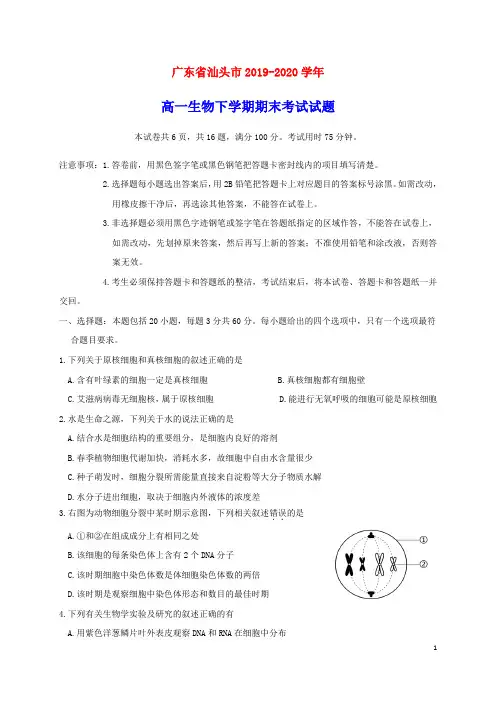广东省汕头市2019_2020学年高一生物下学期期末考试试题(含参考答案)