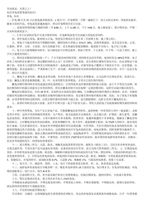 初次养兔需要掌握的知识new