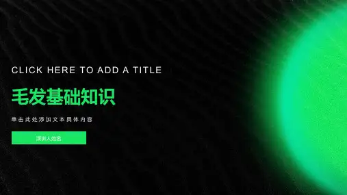 《毛发基础知识》课件