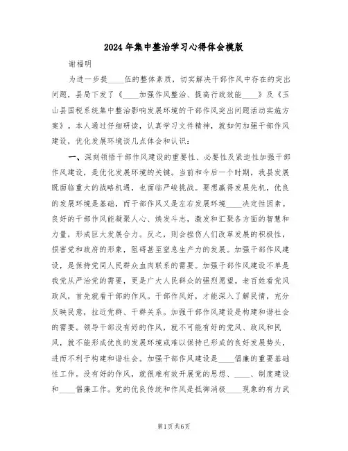 2024年集中整治学习心得体会模版(2篇)
