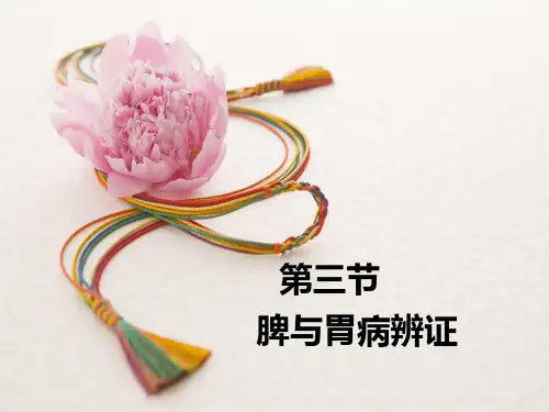 12脾胃病辨证