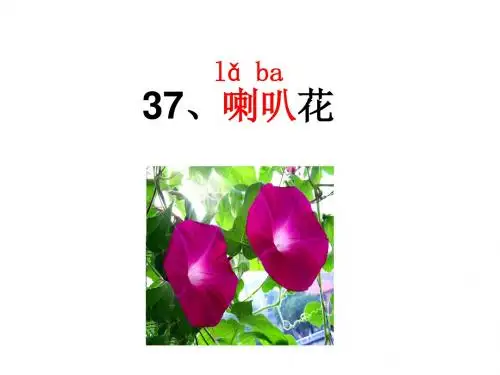 二年级下册语文喇叭花沪教版 (6)