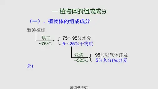 养分的吸收PPT课件