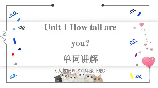 Unit1Howtallareyou_单词讲解(课件)人教PEP版英语六年级上册【01】