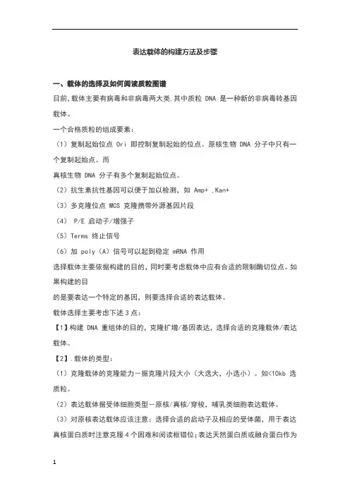 表达载体的构建方法及步骤