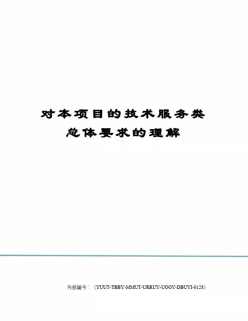 对本项目的技术服务类总体要求的理解修订稿