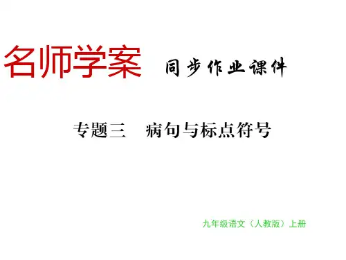 秋九年级语文上册人教部编版(黔东南专用)习题课件：专题三(共15张PPT)