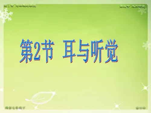 耳与听觉ppt课件