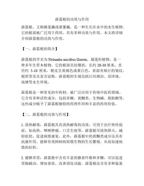 薜荔根的功效与作用