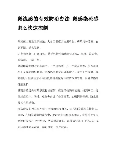 鹅流感的有效防治办法 鹅感染流感怎么快速控制