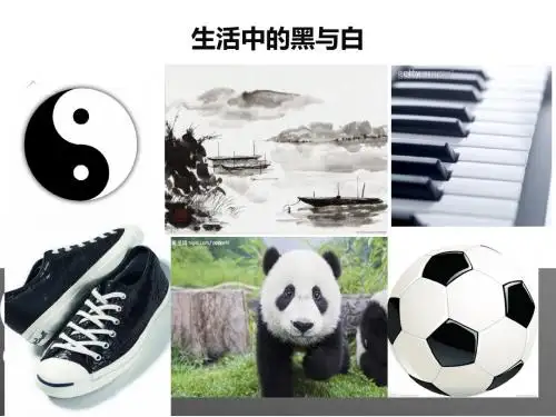 黑与白PPT课件2