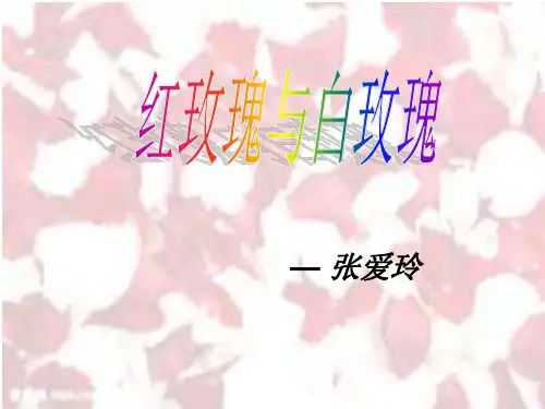 红玫瑰与白玫瑰