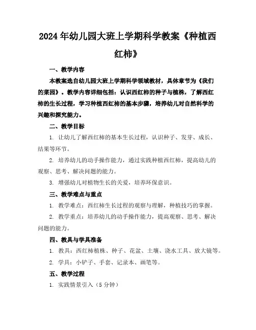 2024年幼儿园大班上学期科学教案《种植西红柿》