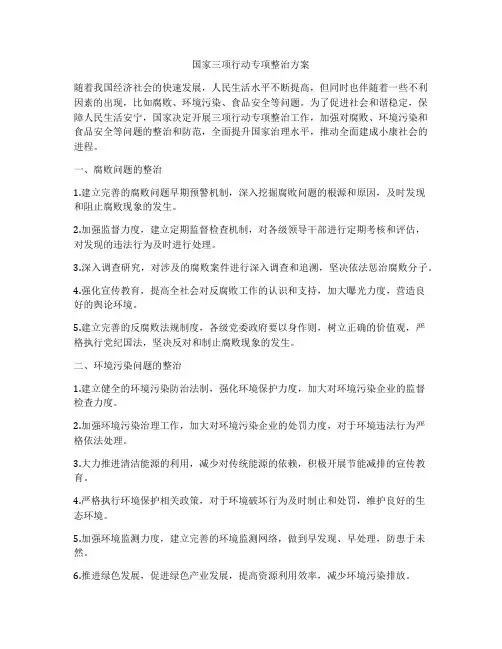 国家三项行动专项整治方案