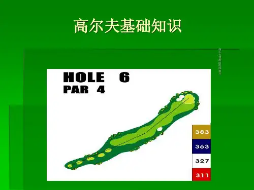 高尔夫基础知识
