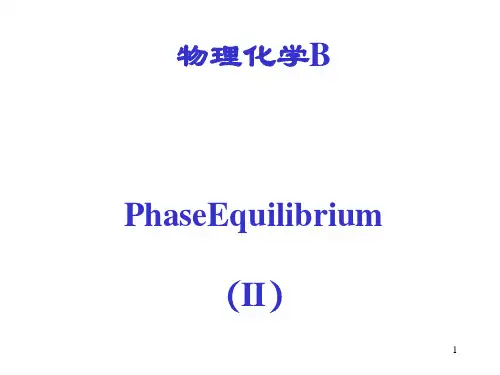 清华大学物理化学B-相平衡-2