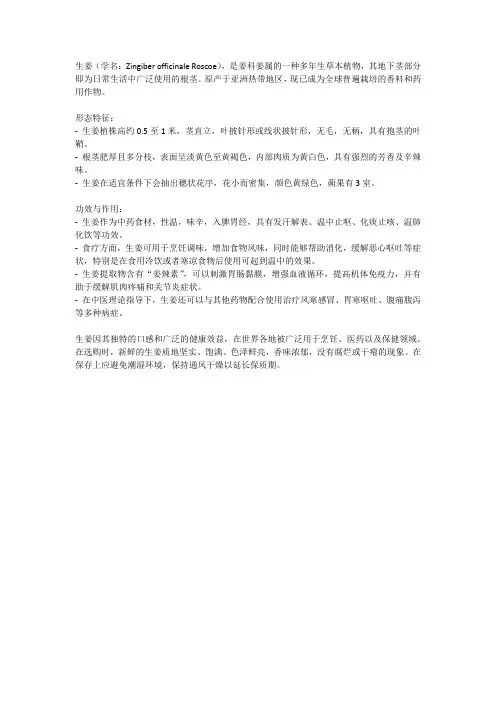 生姜的简介