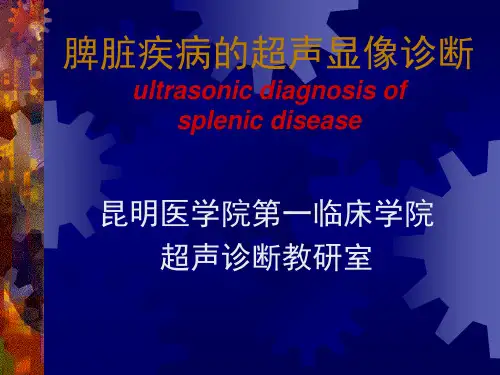 脾脏疾病的超声诊断